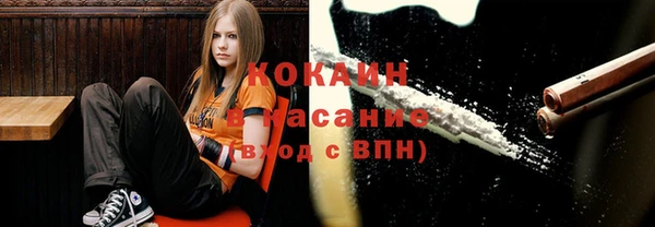 соль ск Елабуга