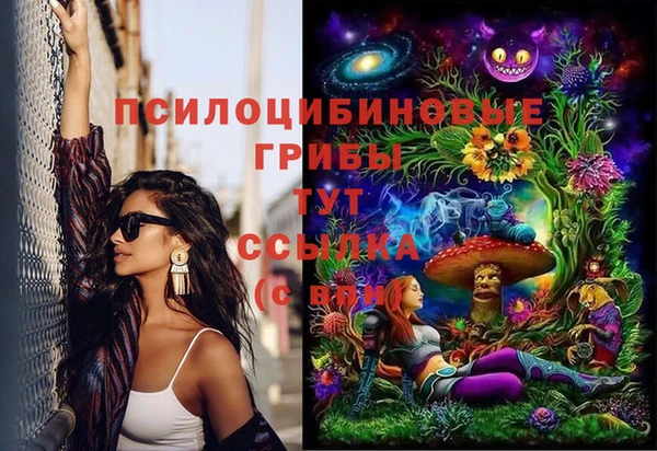 гидра Заволжск