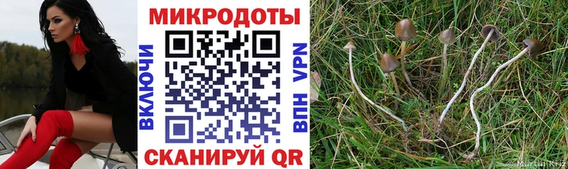 купить закладку  Нарьян-Мар  Псилоцибиновые грибы GOLDEN TEACHER 